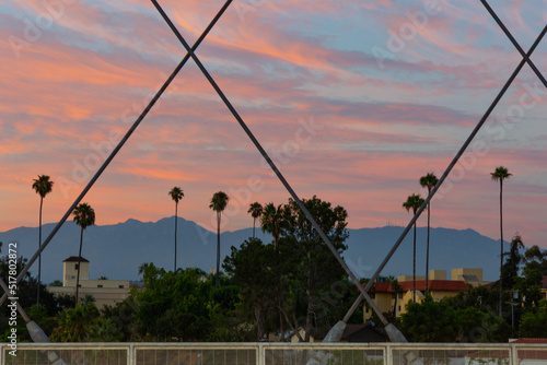 Palm trees silhouetted against a beautiful sunset viewed through the 6th street bridge in Los Angeles photo