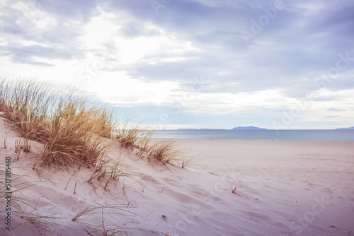 Soft grass on the dunes by the ocean and blue cloudy sky