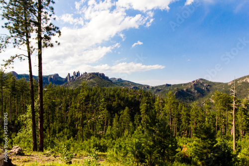 View from the Needles Highway in Summer  South Dakota