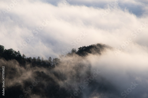 上から見下ろす雲に包まれた山の森の幻想的な雰囲気