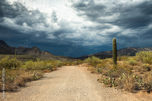 Arizona desert in the summer