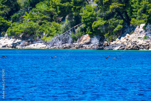 Amazing view of Spartines beach during boating in Alonissos island, Greece photo