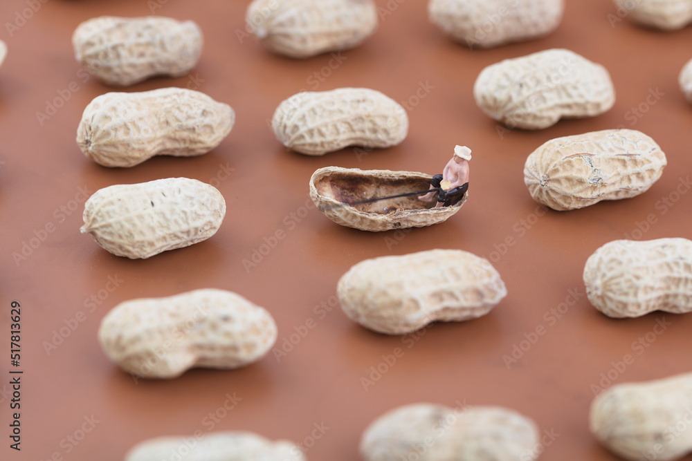 Fishing on a Peanut Shell in Miniature Fishing on a Peanut Shell in Miniature