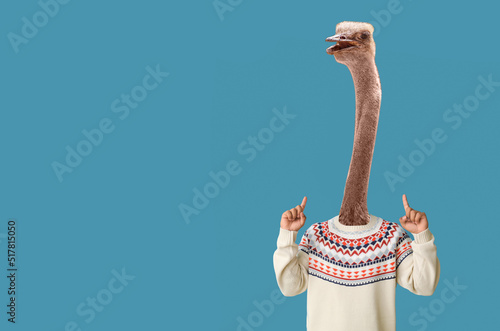 Man with head of ostrich on blue background
