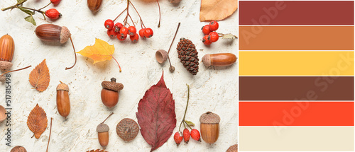 Beautiful autumn compositio...