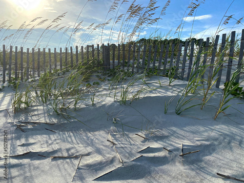 Sun Shining on Natural Beach Landscape
