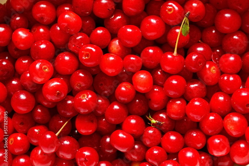 berries wallpaper. heap of red ripe juicy fresh sweet cherry