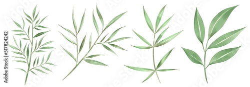 rosemary Watercolor collection of plant elements for design.