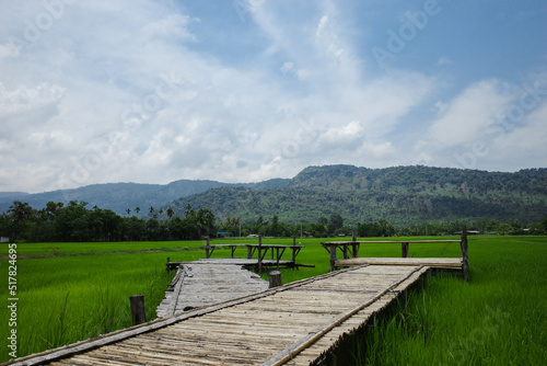 wooden bridge over the river with mountain in the background