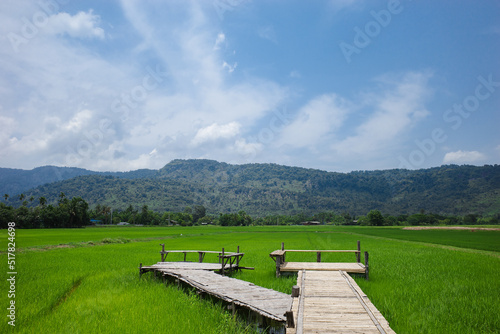 wooden bridge in the mountains
