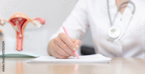Gynecologist doctor write analyzes, prescription for tablets patient in medical institution, model of female reproductive system, banner photo