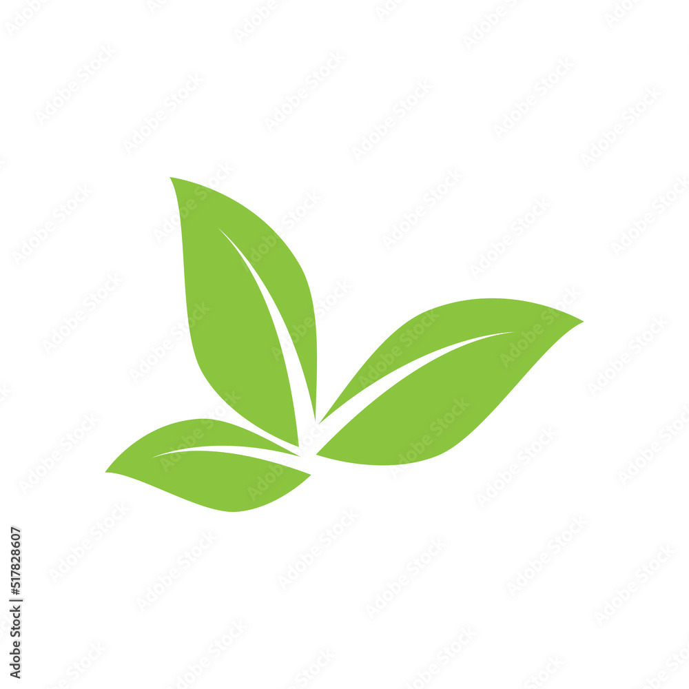 Fototapeta premium Green leaf illustration nature logo design
