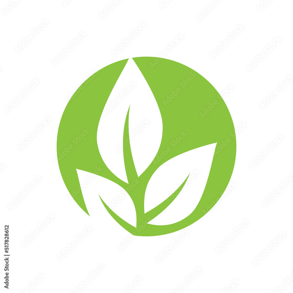 Green leaf illustration nature logo design Green leaf illustration nature logo design