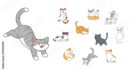 Set of cute funny cats activity such as hiding in the box, hissing, jumping, sleeping etc.