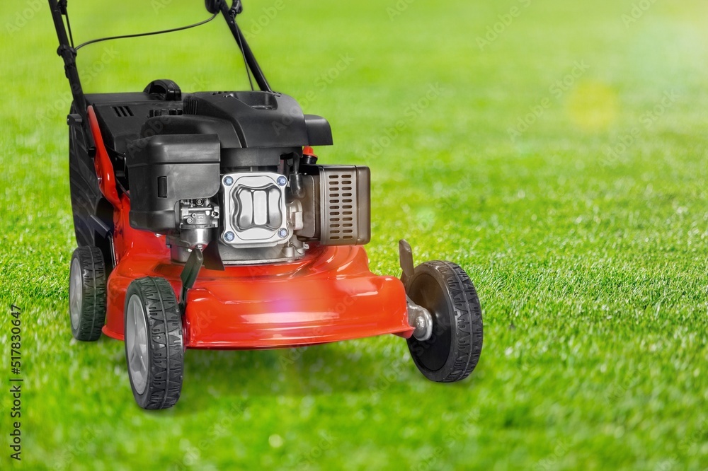 Mowing a lawn with a lawn mower in beautiful green floral summer garden. Mowing a lawn with a lawn mower in beautiful green floral summer garden.
