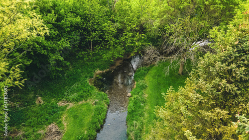 Small Stream Flowing in Summer