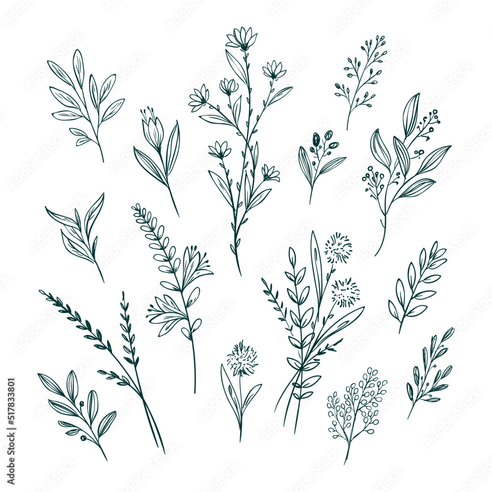 Hand drawn flower collection Vector new Hand drawn flower collection Vector new