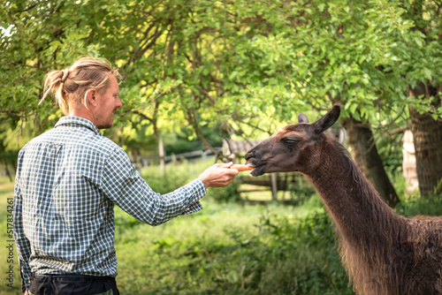 Blond man feeding a brown llama.