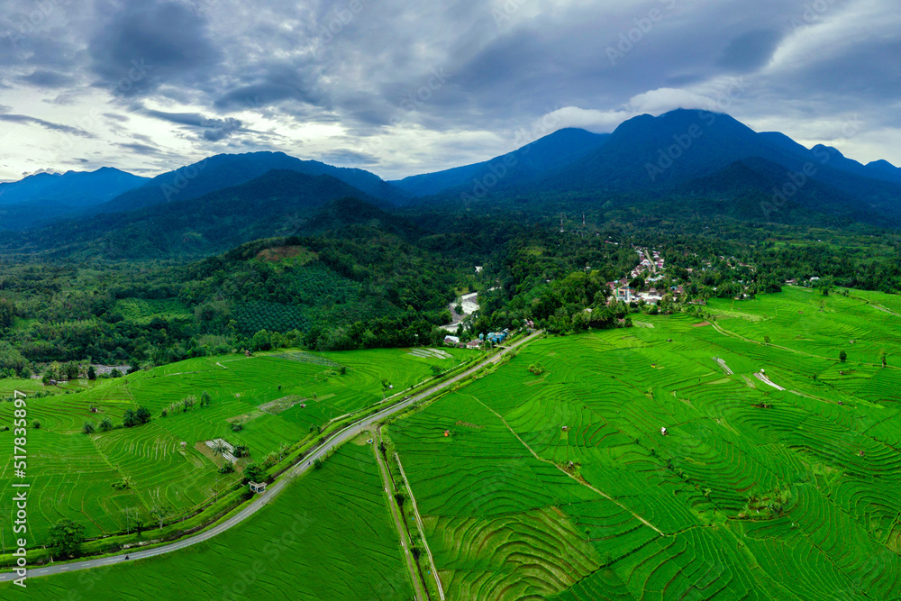 Indonesian natural panorama aerial photography view of green rice fields and mountain range