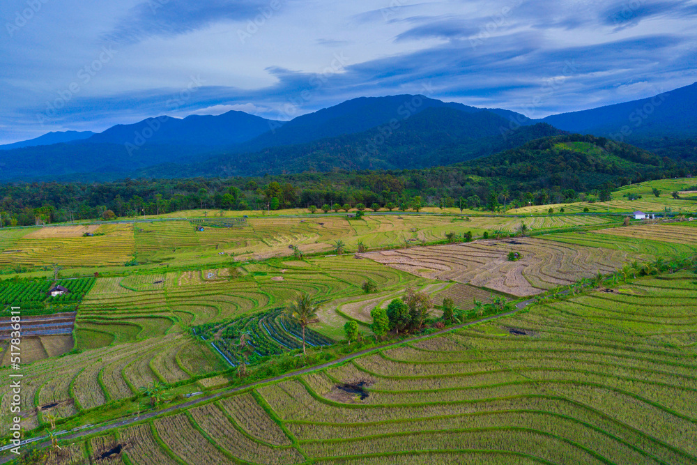 aerial photography of natural panorama of Indonesia, vast rice fields with mountains