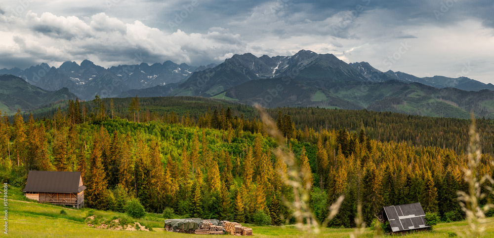 Wide panorama of tatra mountains range, woodlands and meadows in Poland at summer