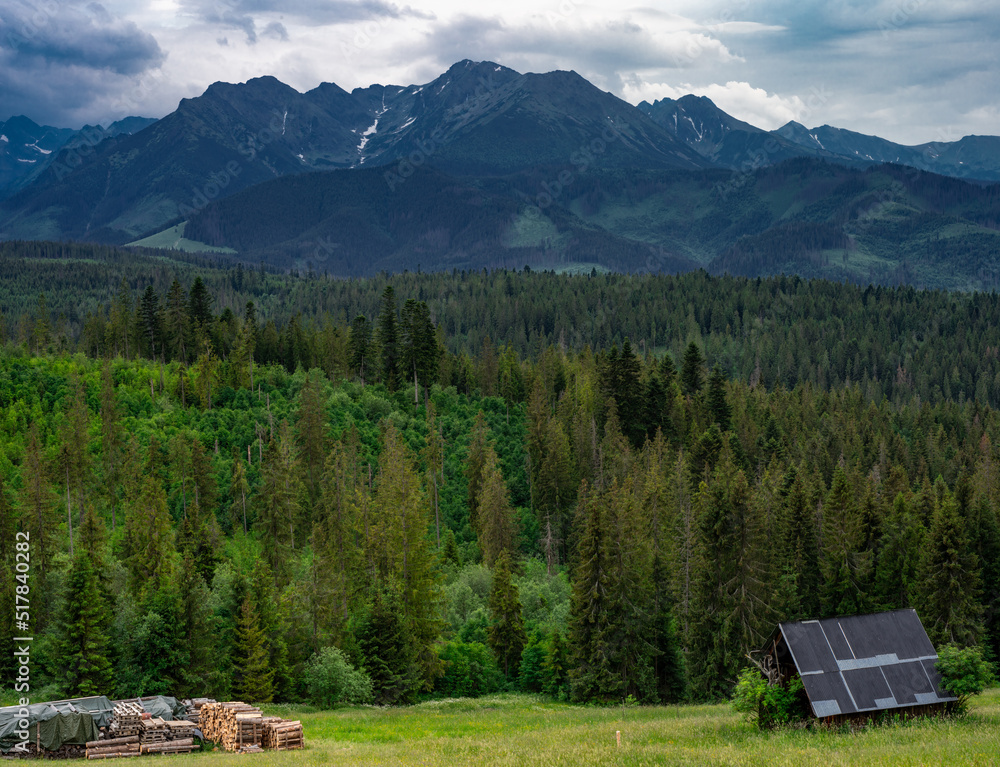 Tatra mountains, woodlands and meadows in Podhale region in Poland at summer