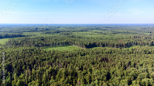 beautiful view of the forest from the drone