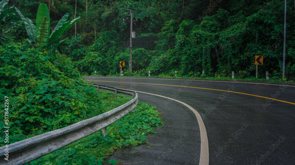 Mountain Road in tropical Forest 