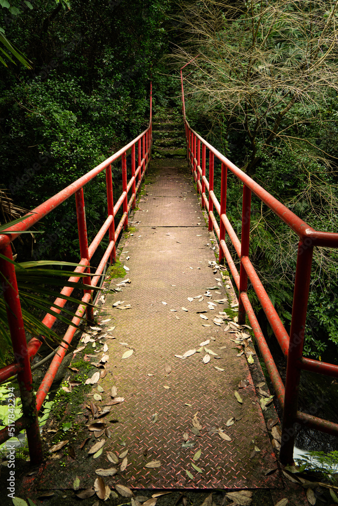 Obraz premium 山中に架けられた古い橋