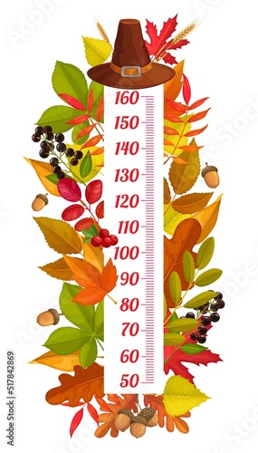 Thanksgiving kids height chartruler, autumn harvest and pilgrim hat. Vector wall sticker with fall tree leaves, berries and acorns. Children height scale with cartoon autumnal leaves