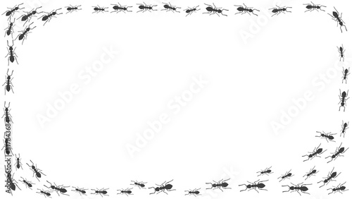 Trail of ants. A rectangle frame of insects. Vector