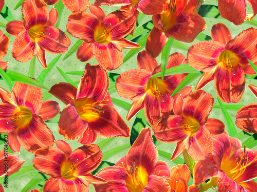 Seamless pattern with orange lily flowers with green foliage. © qwertfak
