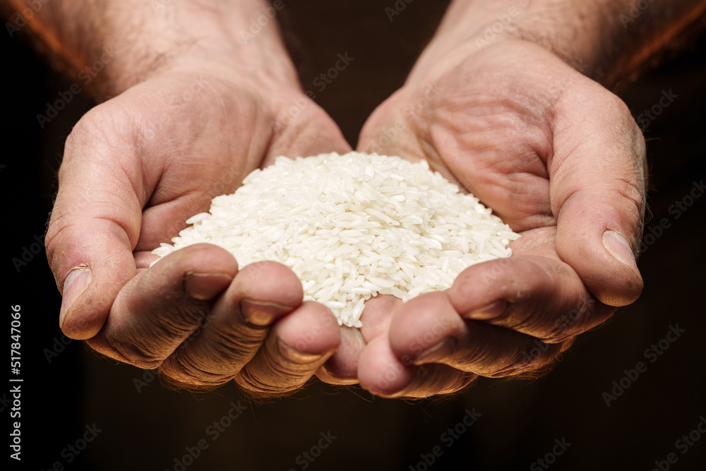 Hands holding a heap of dry rice grain on black background Hands holding a heap of dry rice grain on black background