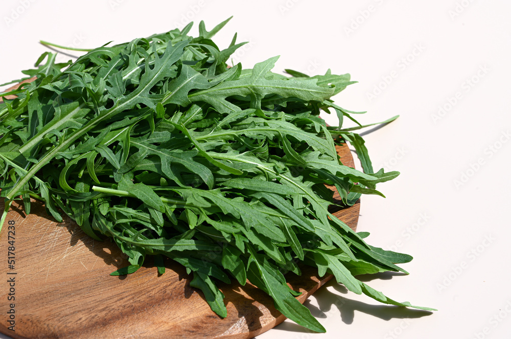 Fresh green arugula in wooden plate. Arugula rucola for salad. Close up of fresh green healthy food. Fresh green arugula in wooden plate. Arugula rucola for salad. Close up of fresh green healthy food.