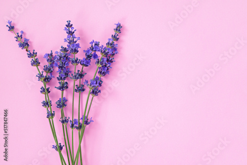 Lavender flowers on pink background  top view