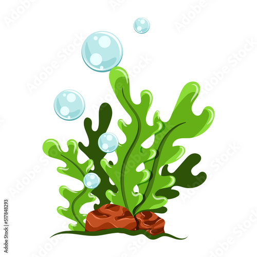 Cartoon seaweed illustration. Isolated on white background.