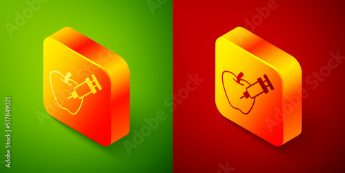 Isometric Genetically modified apple icon isolated on green and red background. GMO fruit. Syringe being injected to apple. Square button. Vector