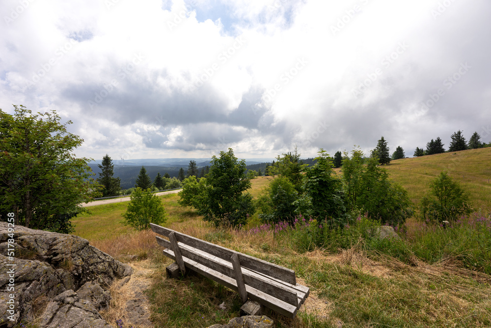 View from the resting place on the Kandel mountain into the valley. Black Forest. Germany