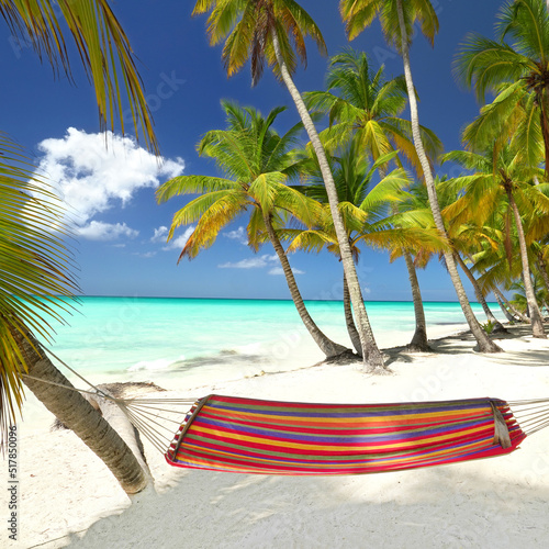 karibischer Strand mit Palmen