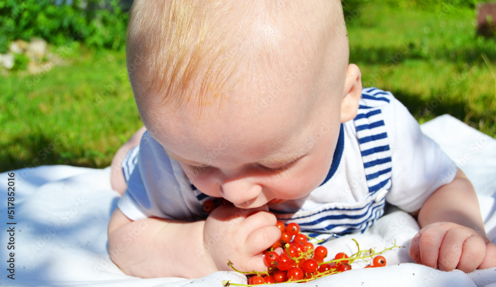 Blonde boy eats red currants with apettite Blonde boy eats red currants with apettite