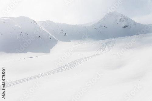 snow-covered mountain range with a snow-covered field on which there are traces of skiers and snowboarders, freeride. background for text