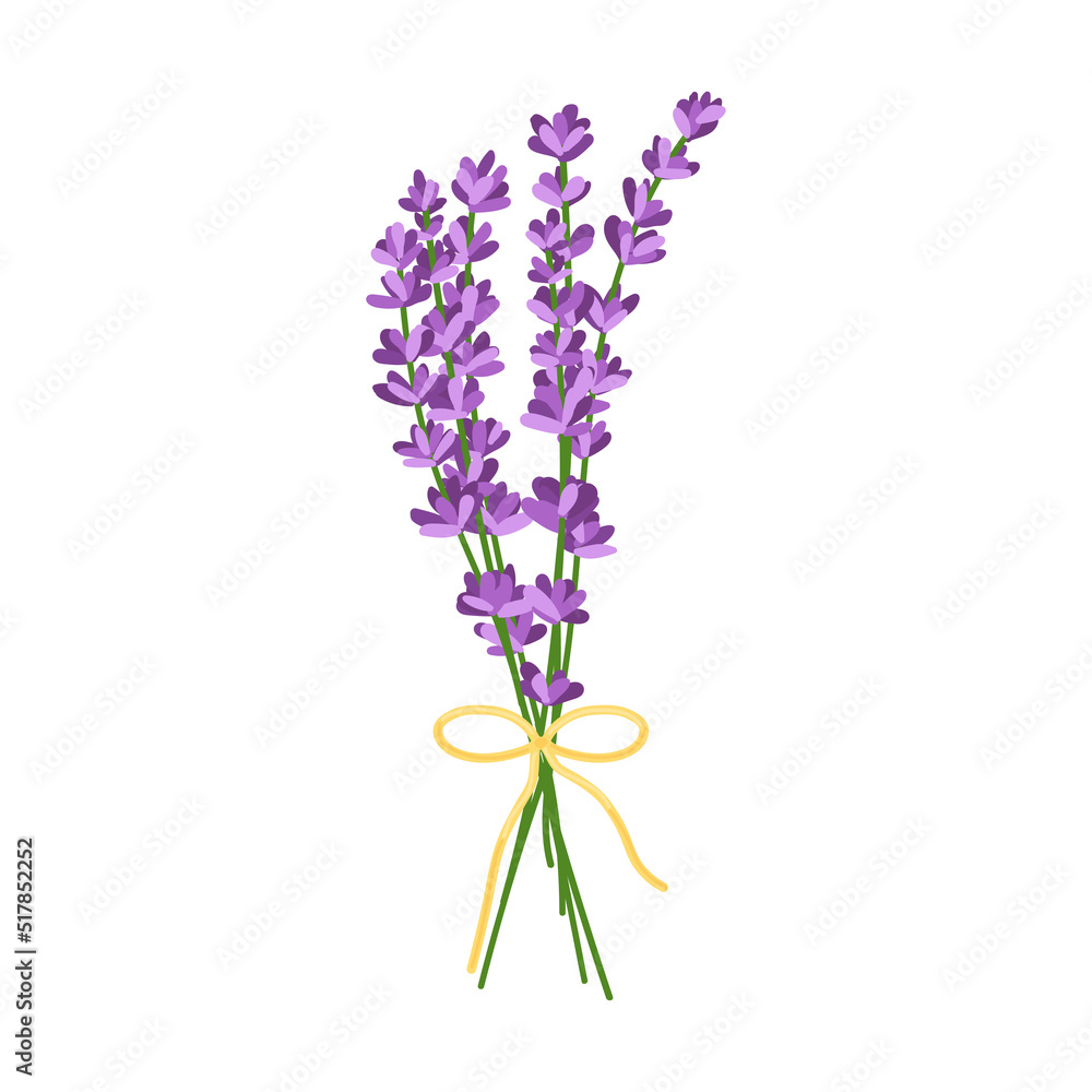 Bouquet of lavender flowers. Vector illustration of lavender flowers isolated on white background Bouquet of lavender flowers. Vector illustration of lavender flowers isolated on white background