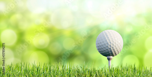 Golf ball on tee with grass and green blurred background - 3D Illustration
