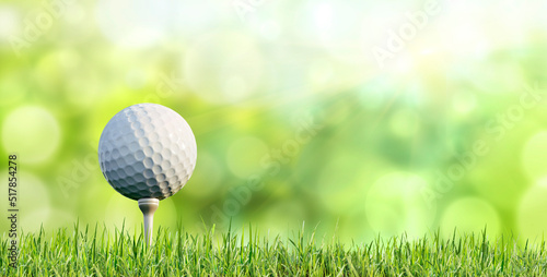 Golf ball on tee with grass and green blurred background - 3D Illustration