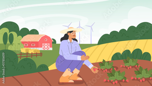 Fall harvest. Flat vector illustration with a female character picking strawberries. Concept of harvesting people.
