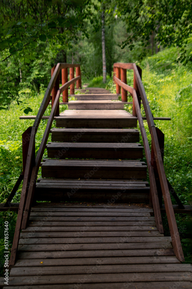 Wooden path with railings and steps in a lush green forest. Walk outdoors. Wooden path with railings and steps in a lush green forest. Walk outdoors.