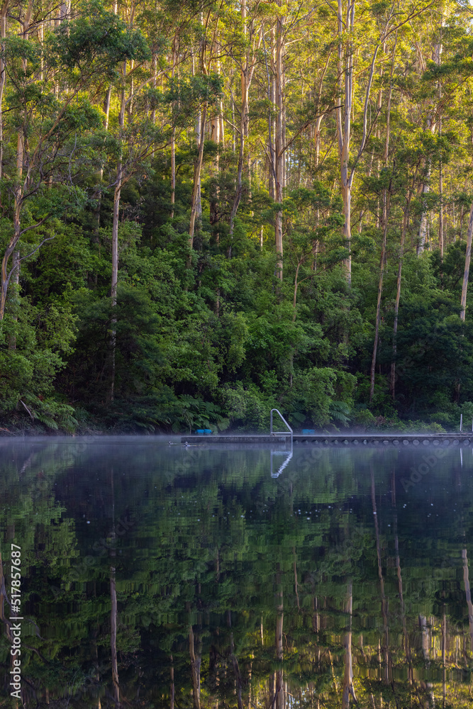 Pemberton pool with still water and reflections of tall trees Stock