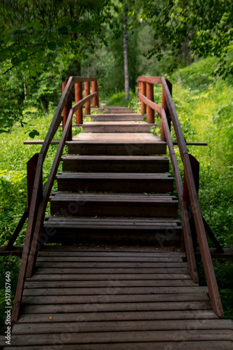 Wooden path with railings and steps in a lush green forest. Walk outdoors.