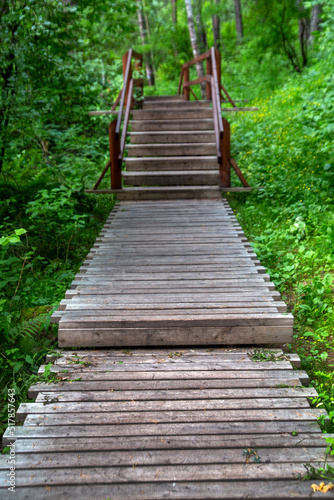 Wooden path with railings and steps in a lush green forest. Walk outdoors. © Marina