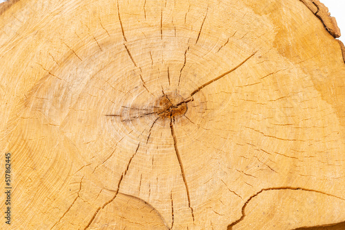Wooden background.Closeup of round slice of tree with annual rings and cracks. Natural organic texture. Flat surface. Close-up view of yellow tree log cut end. Round cut tree.Macro wood cross section.